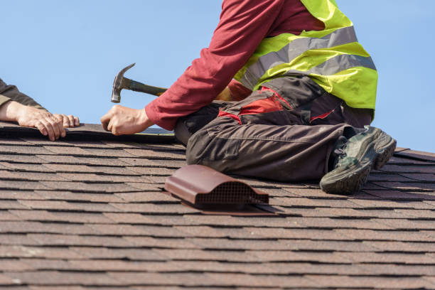 Roof Gutter Cleaning in Philadelphia, MS